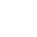 Chartered Accountant