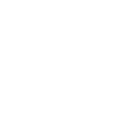 Real Estate Developer